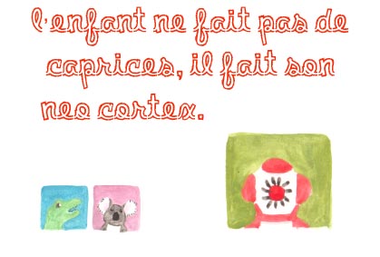 Carte Néocortex